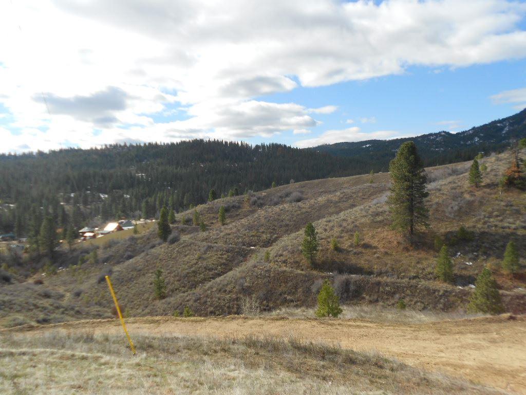 Lot 20 Clear Crk Estates # 12 - Photo 1