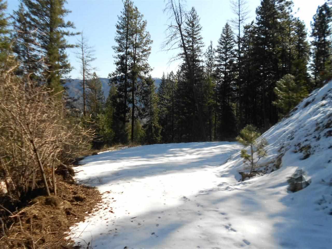 Lot 5 Boise Holcomb #2 - Photo 1
