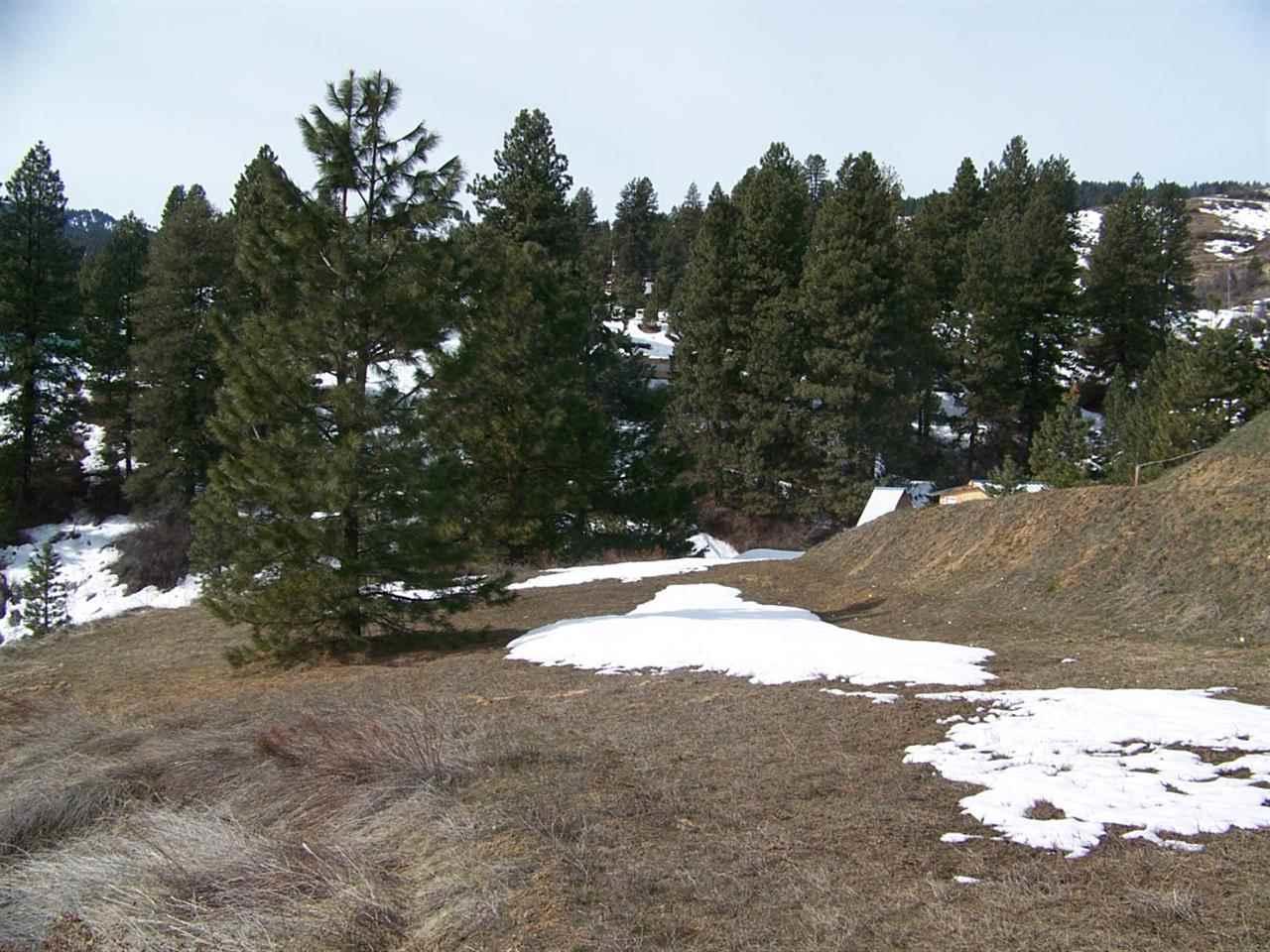 Lot 3 Clear Creek Estates # 13 - Photo 1