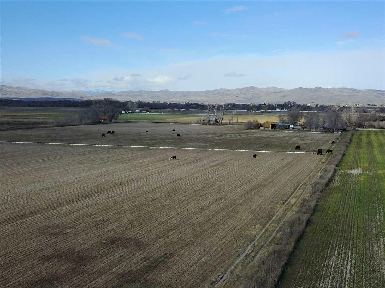 483 & 491 Annex Rd - Photo 1
