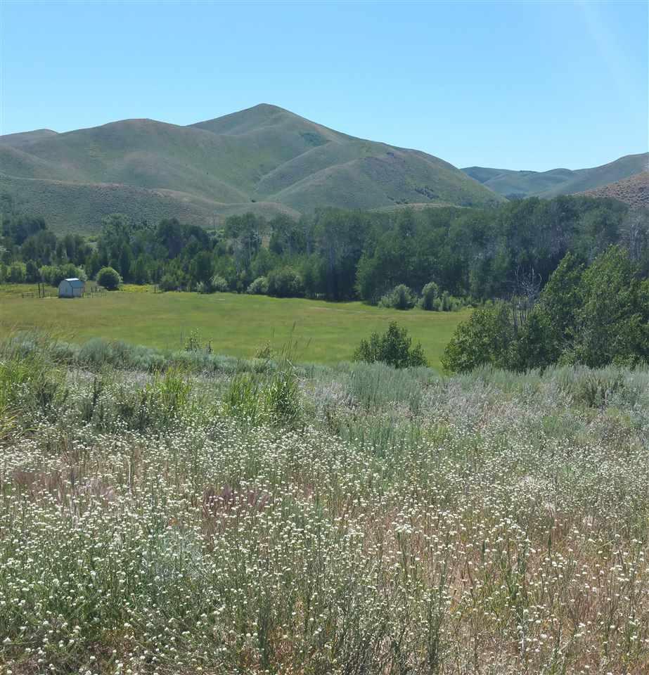Lot 8 Silver Brush Subdivision 1 - Photo 1