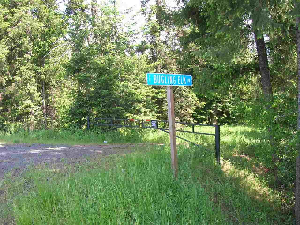79 Bugling Elk Ln, Lot D - Photo 1