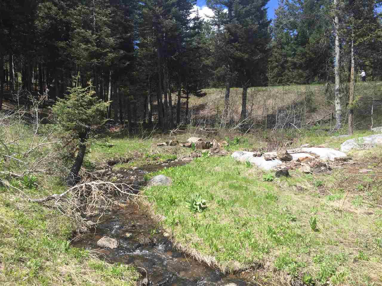2225 Hwy 55 - Photo 1