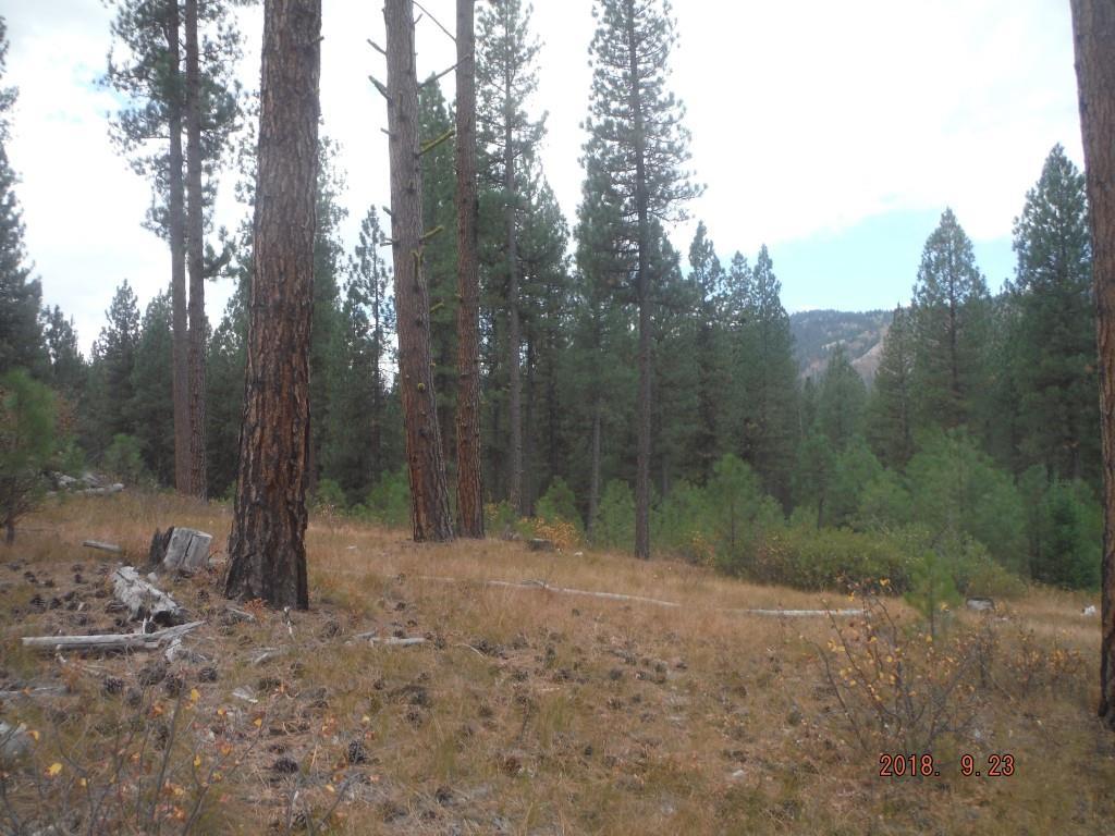Lot 32 Elk Run Sub Blk 1 - Photo 1