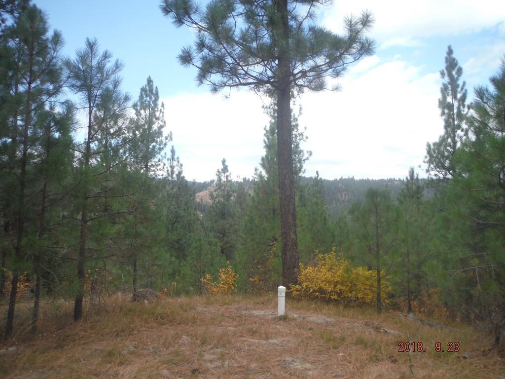 Lot 27 Elk Run Sub Blk 1 - Photo 1