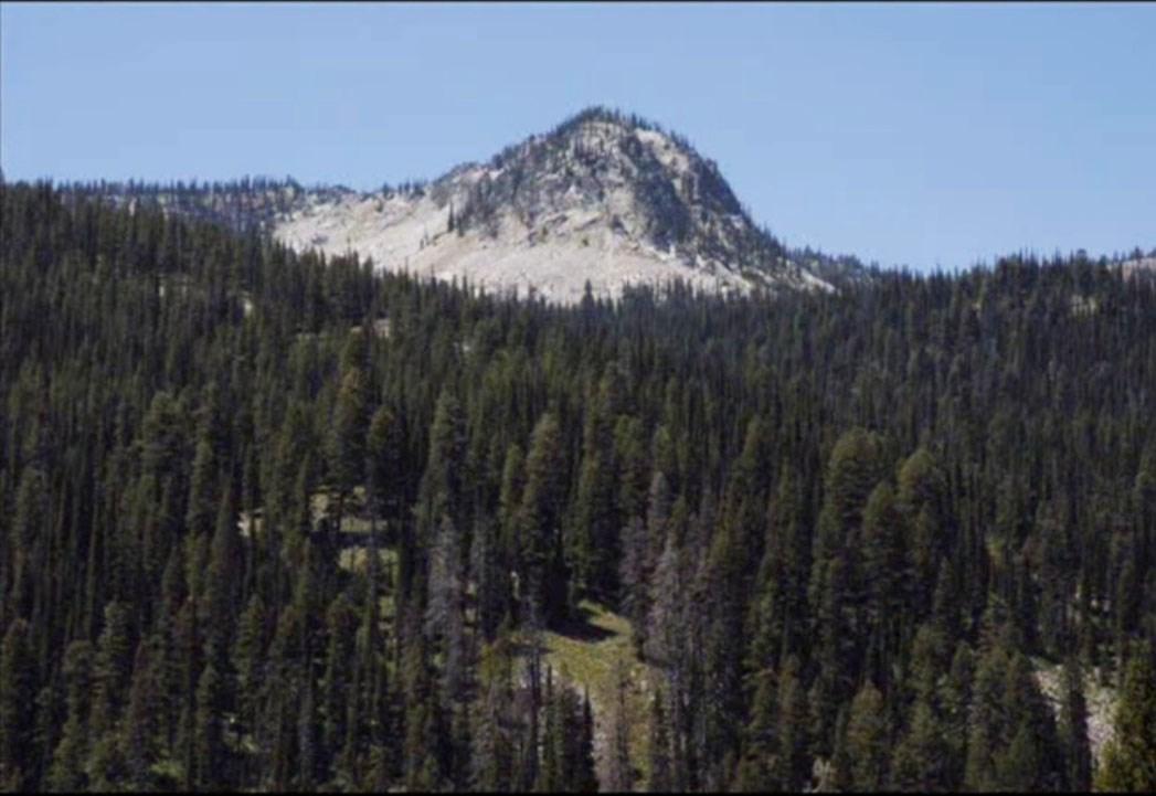 TBD Big Creek Rd - Photo 1