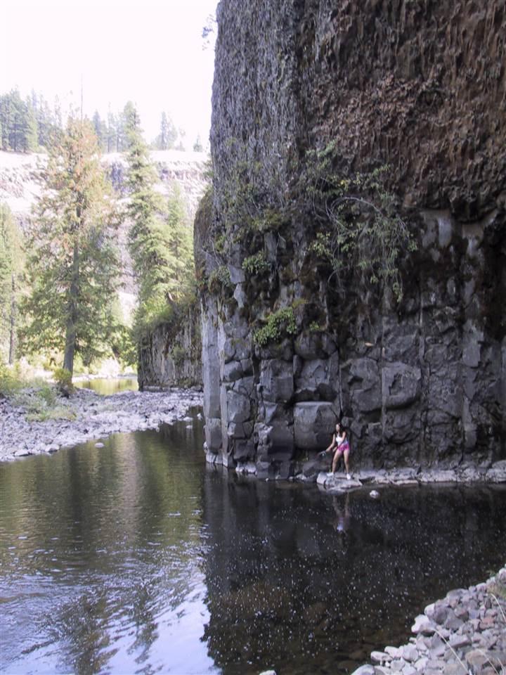 TBD Potlatch River Timberland West - Photo 1