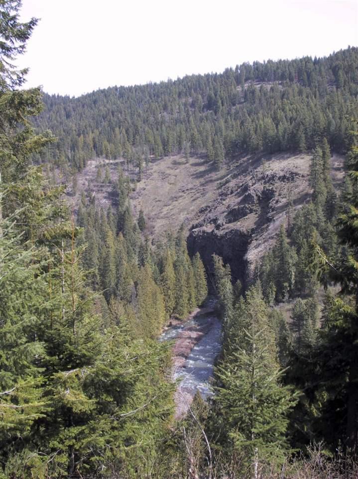 TBD Potlatch River Timberland East - Photo 1