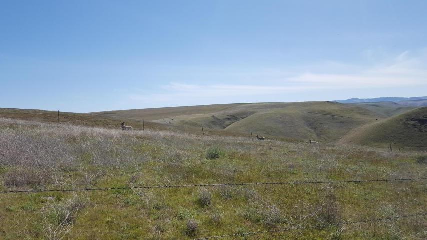 NKA River Rock Dr Lot 4 - Photo 1