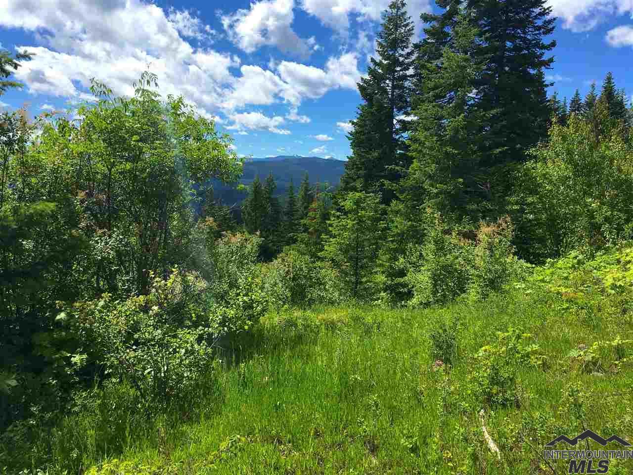 46 acres Cove Road - Photo 1
