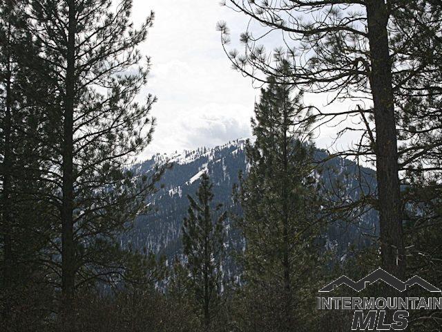 Lot 38 Blue Shadow - Photo 1