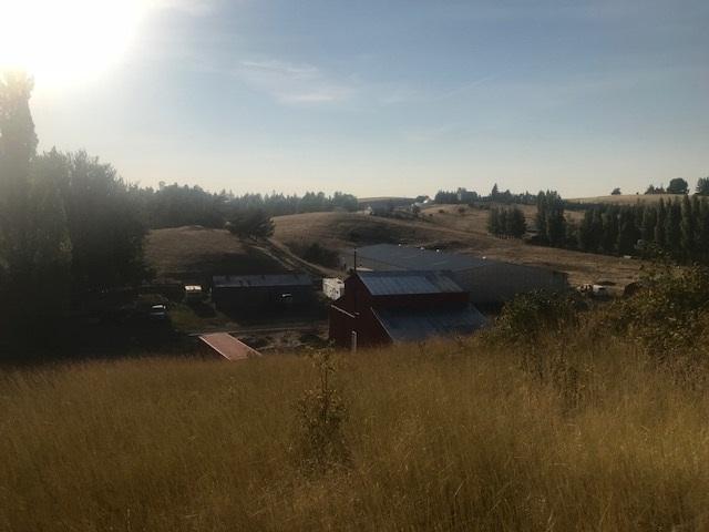 1840 Polk Ext. - Photo 1