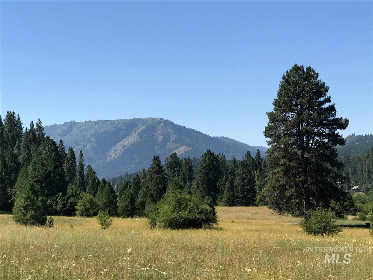 Pine Bar Ranch Parcels H-K On Windy River Rd - Photo 1
