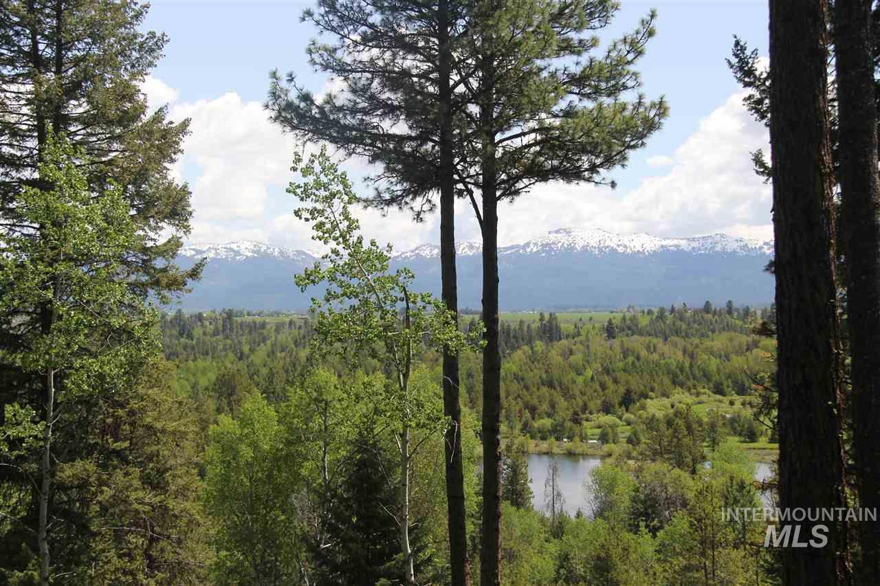 Lot 7 Blackhawk Lake Dr - Photo 1