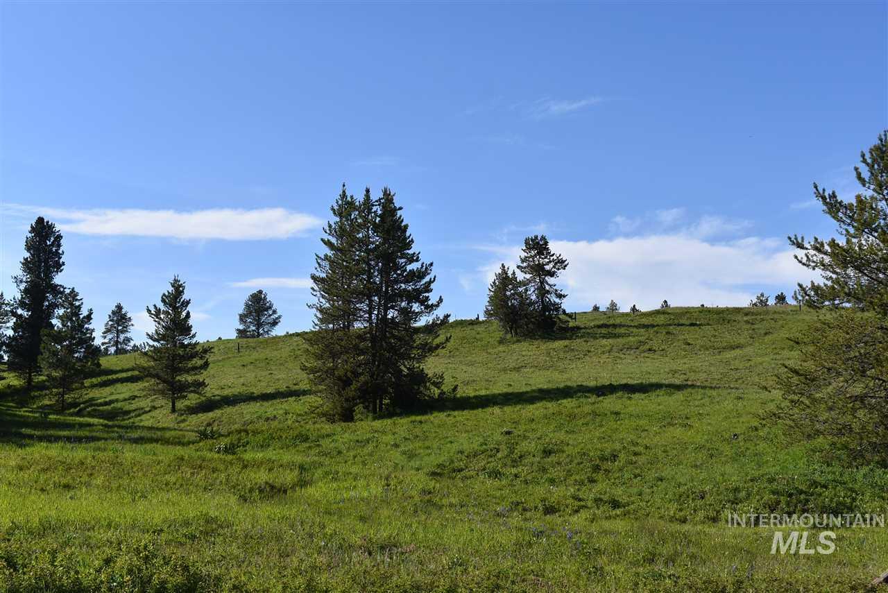 tbd Forest Rd - Photo 1