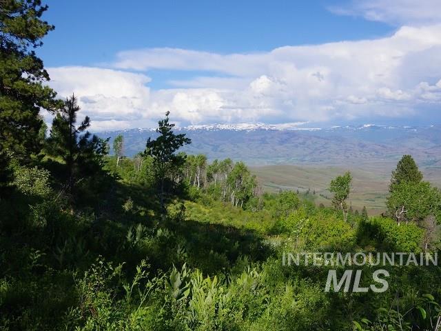 TBD Cow Creek Road - Photo 1