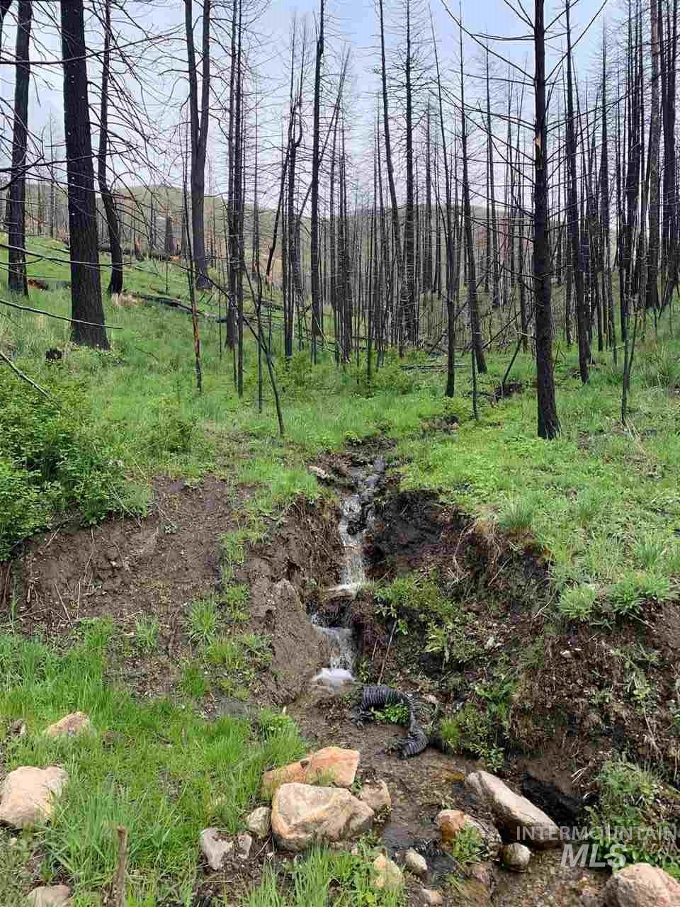 TBD Beaver Creek Rd - Photo 1