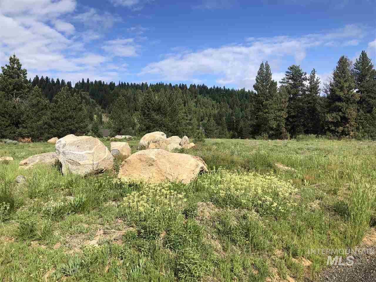 TBD Whitetail Drive - Photo 1