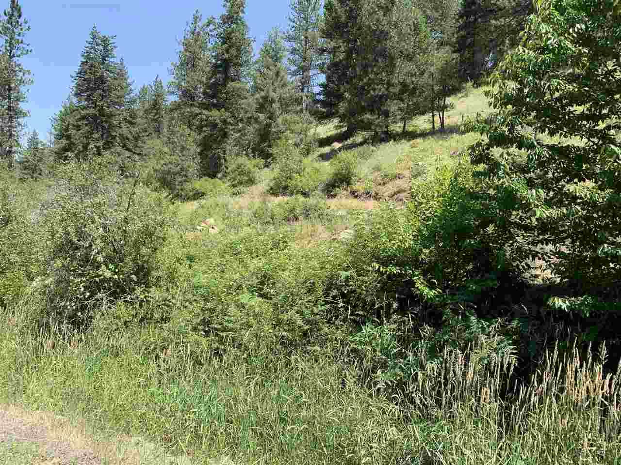 000 Battle Ridge - Photo 1