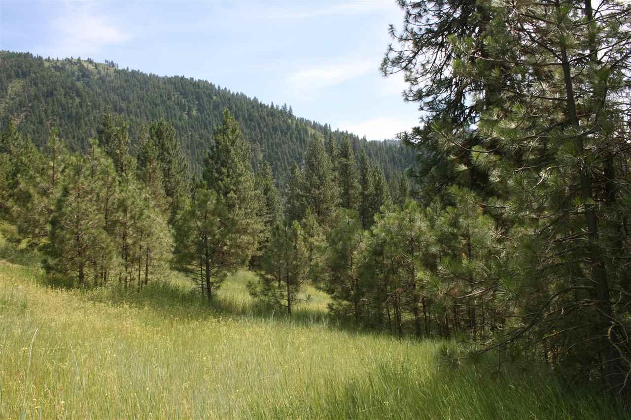 Lot 29 Frazier Creek - Photo 1