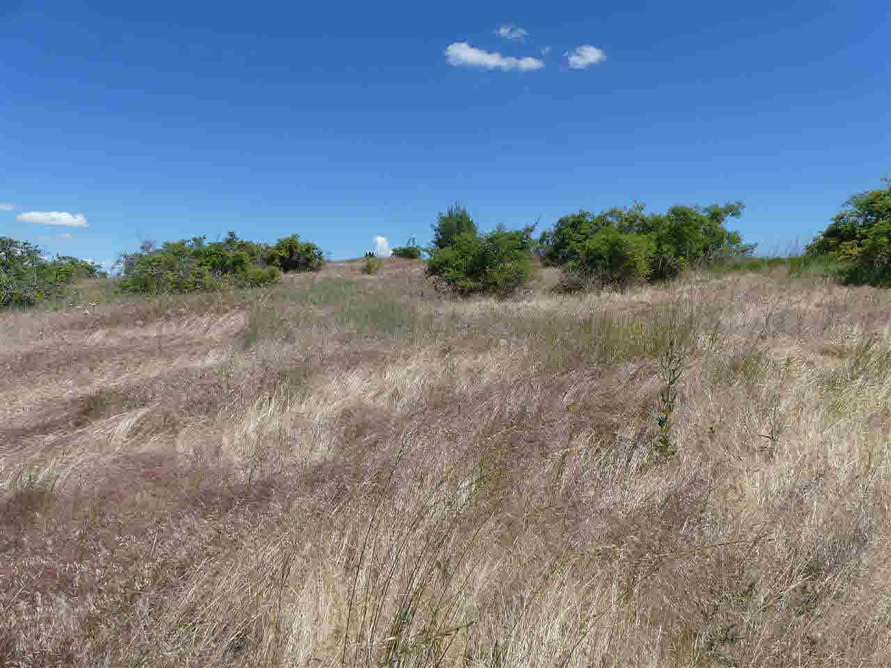 tbd Windmill Creek Road - Photo 1