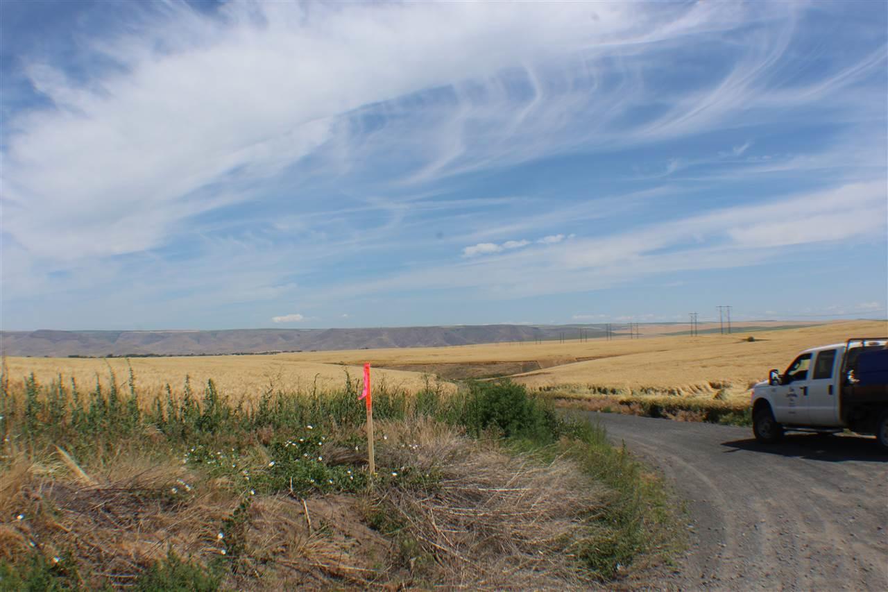 Lot 2 Block 109 - Photo 1