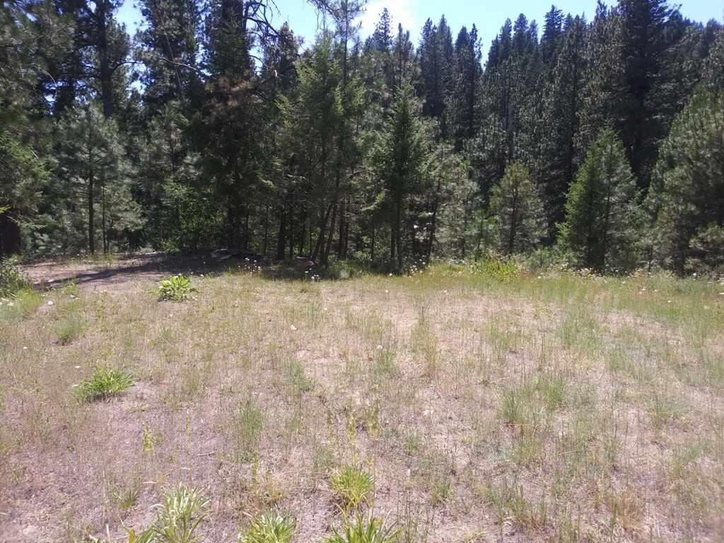 LOT 96 Gold Fork Ridge - Photo 1