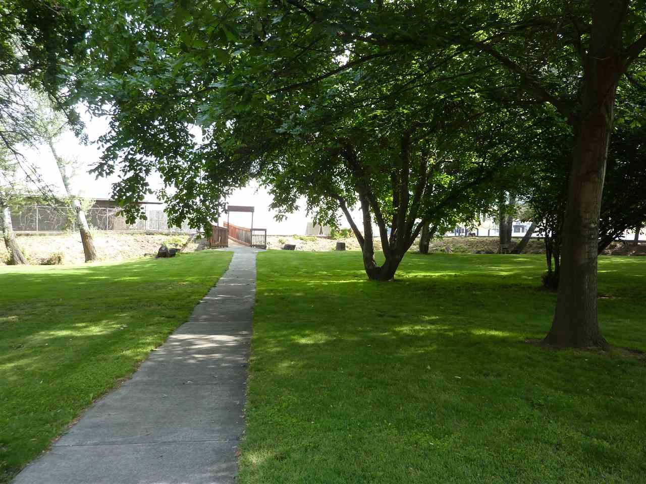 211 Silcott Street - Photo 1