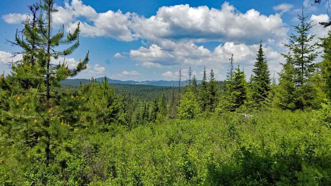 TBD Hwy 3 - Photo 1