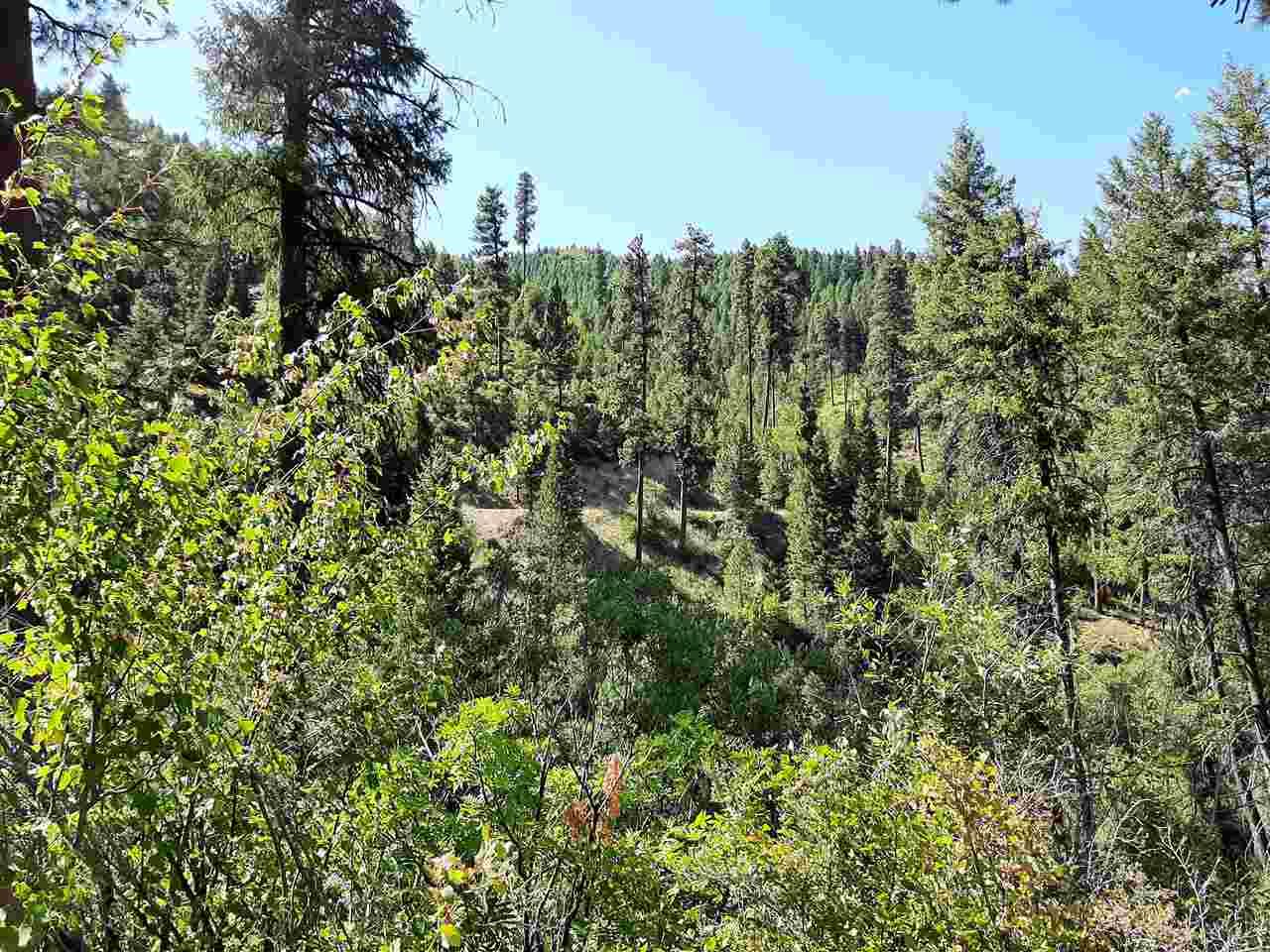 Archie Creek - Photo 1
