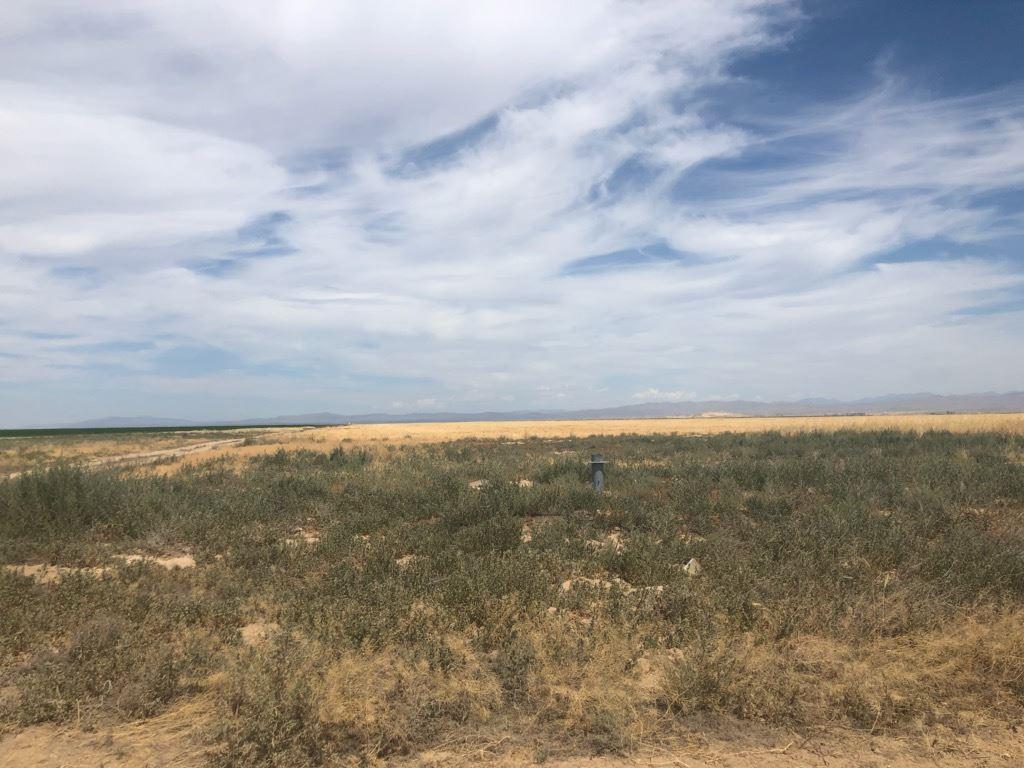 TBD Cinder Butte - Photo 1