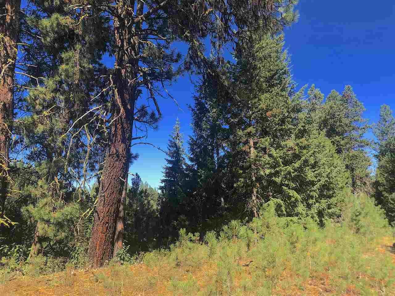 745 Chad Loop - Photo 1
