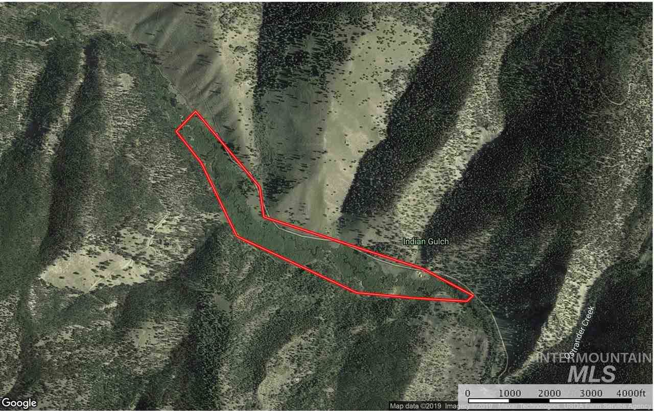 TBD National Forest Rd #059 - Photo 1