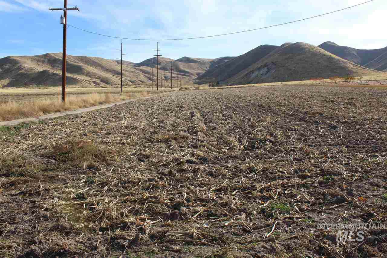 4001 Main Street - Photo 1