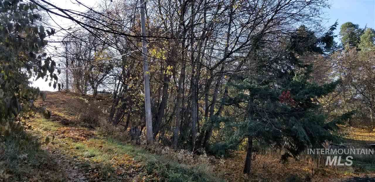 303 Adams - Photo 1
