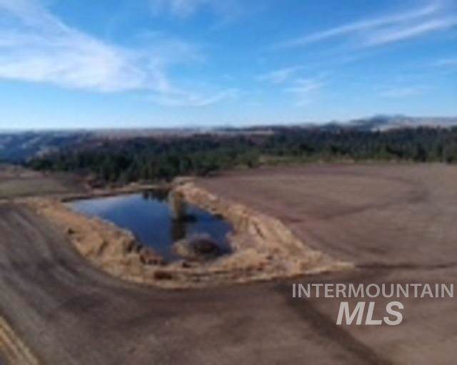 TBD Texas Ridge Rd. - Photo 1