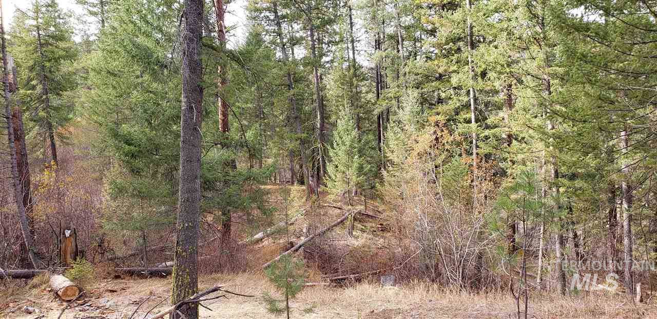 Lot 6 Bear Run Road - Photo 1