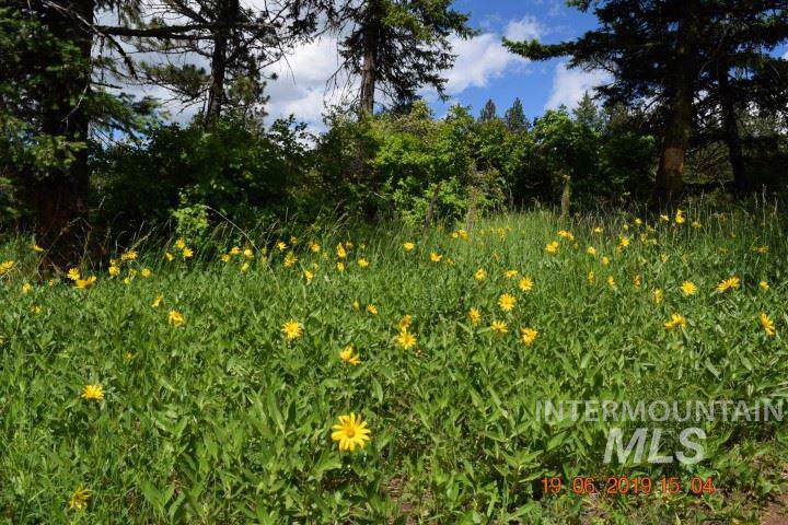 10 AC Ne Old White Bird Hill Road - Photo 1