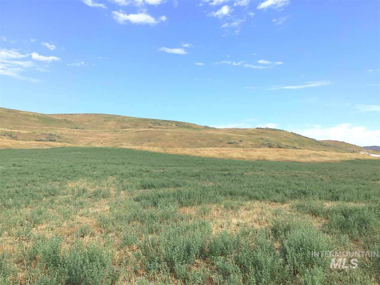 000 Hwy 95 - Photo 1