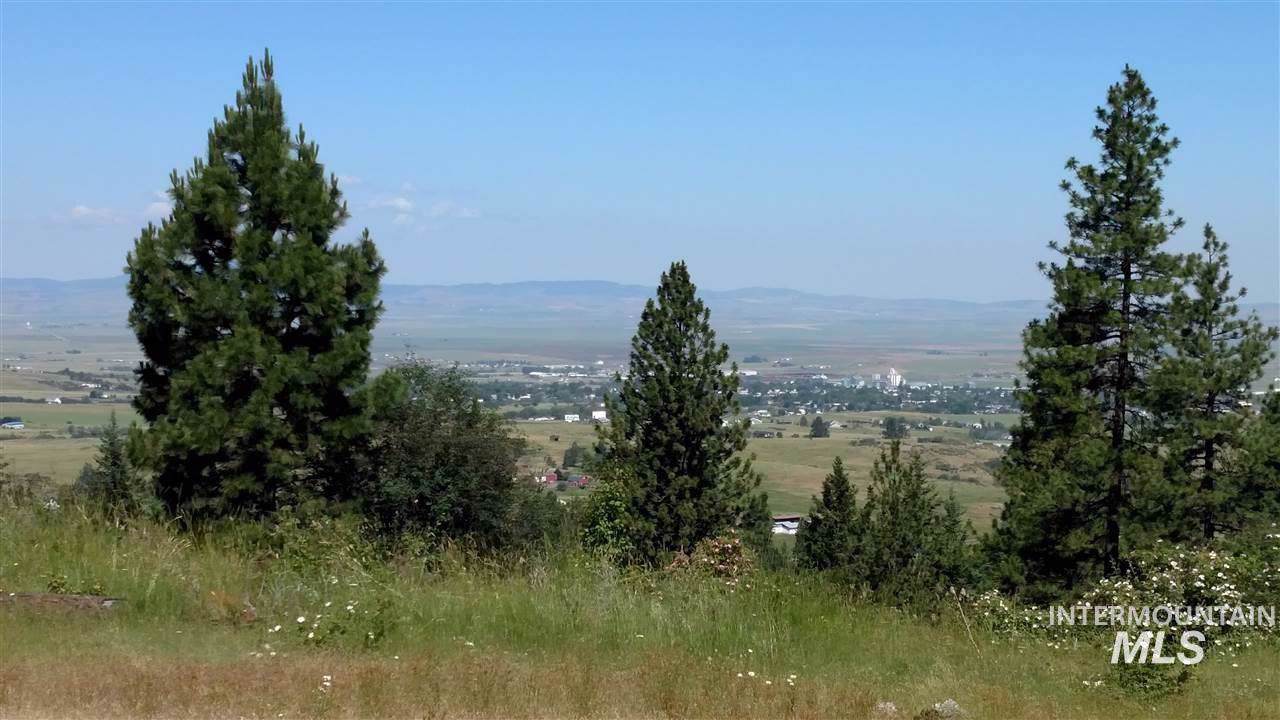 Lot 4,5,6 Elk Ridge Lane - Photo 1