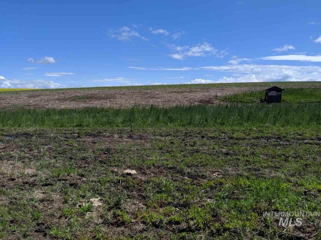 TBD Halford Road - Photo 1 TBD Halford Road - Photo 1