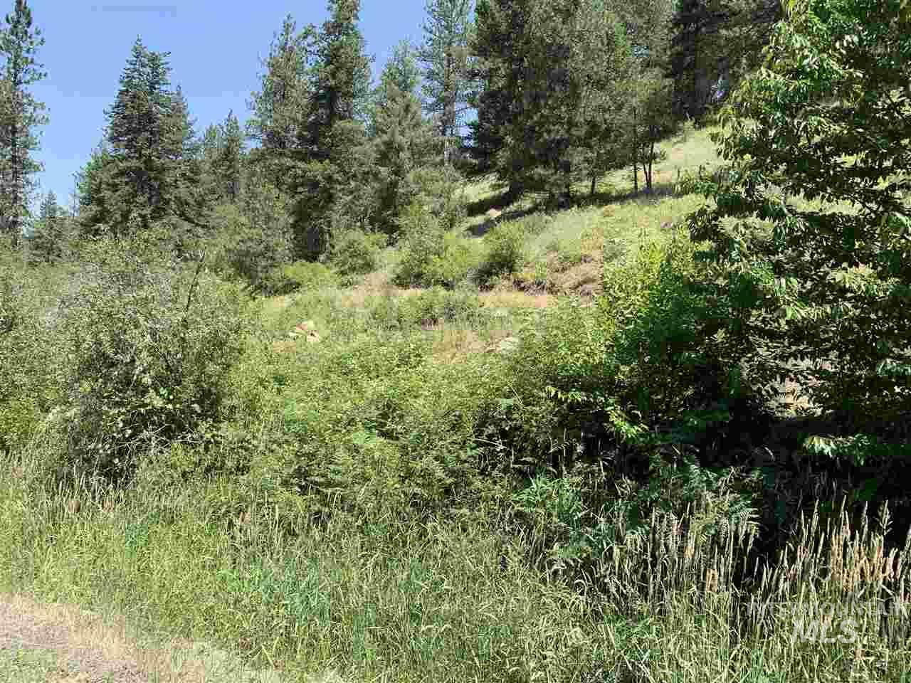 000 Big Buck Road - Photo 1 000 Big Buck Road - Photo 1