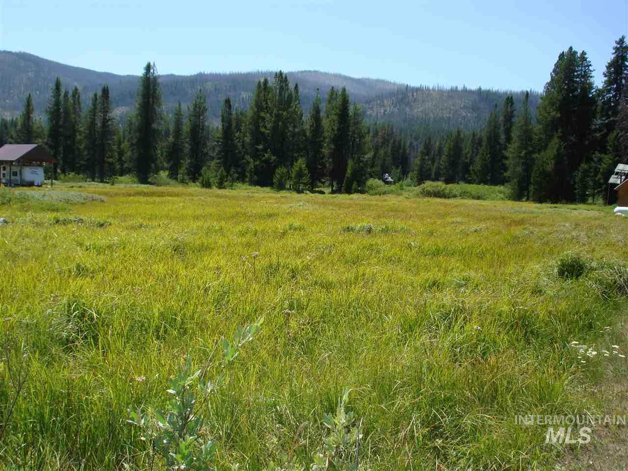 TBD Secesh River Road - Photo 1