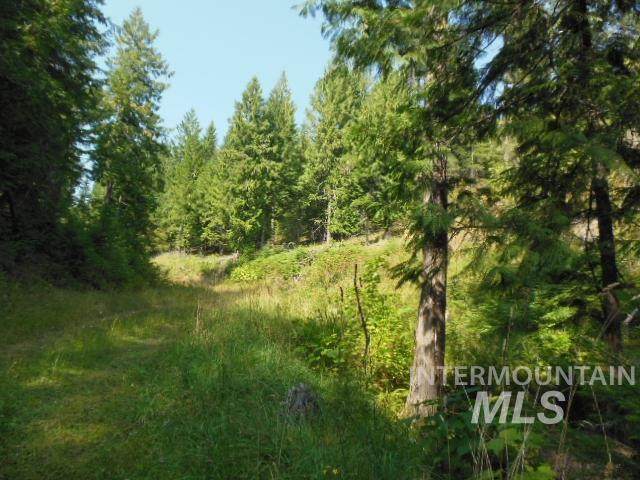 5742 Freeman Creek Road - Photo 1