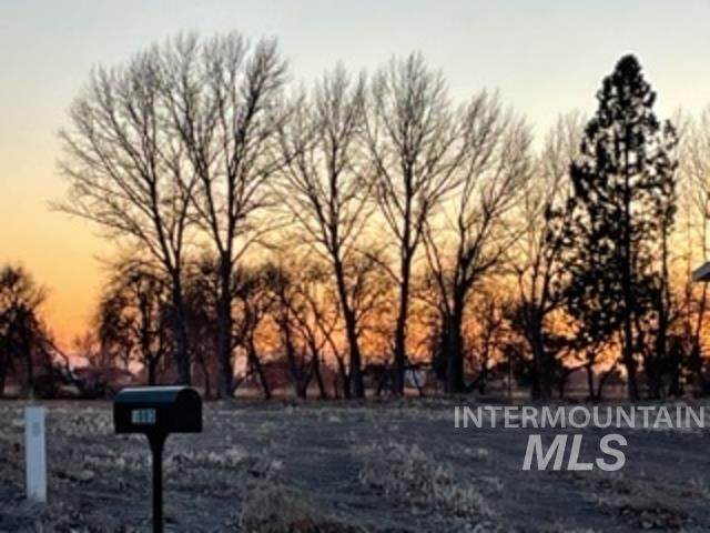 1011 Woodland Street - Photo 1