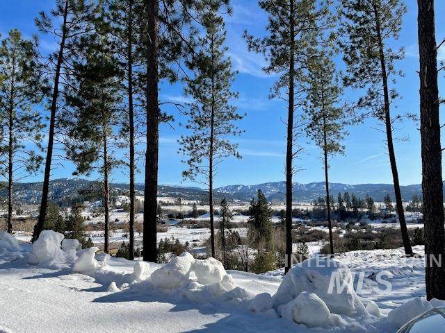 Lot 2 Pine Grove - Photo 1