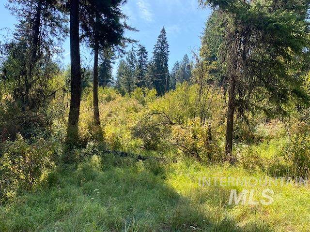 TBD Sun Mountain Rd Parcel 5 - Photo 1