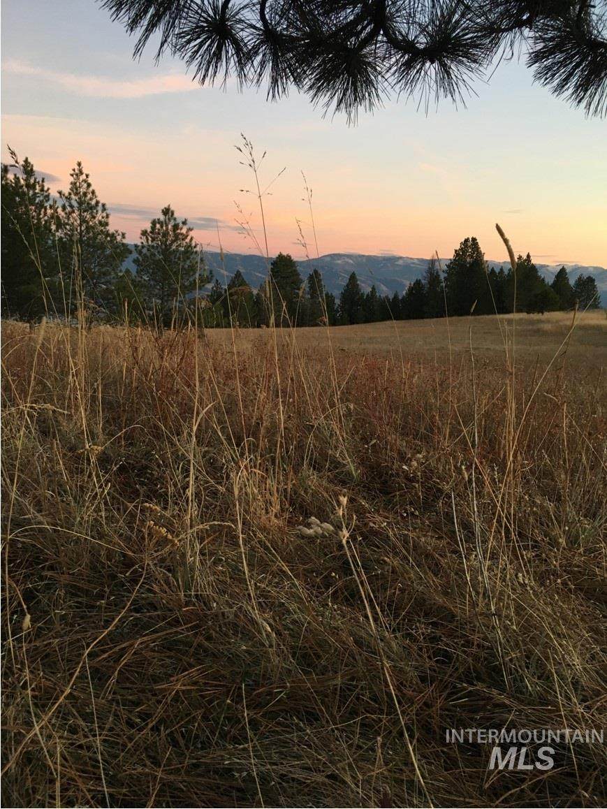 Lot 30 & 31 Elk Run Rd - Photo 1