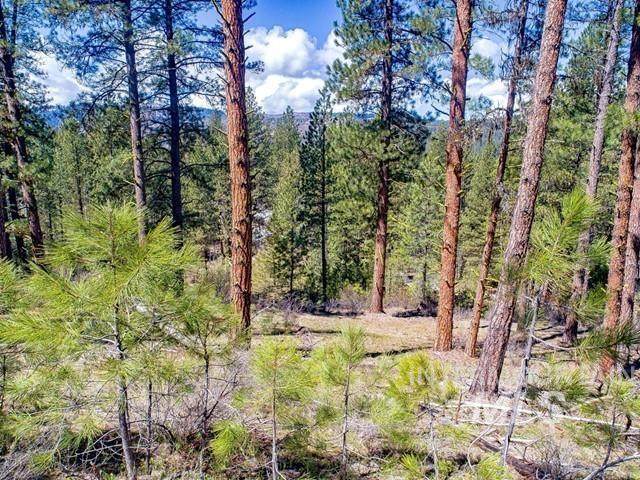 Lot 5 Meadow Lark Circle - Photo 1