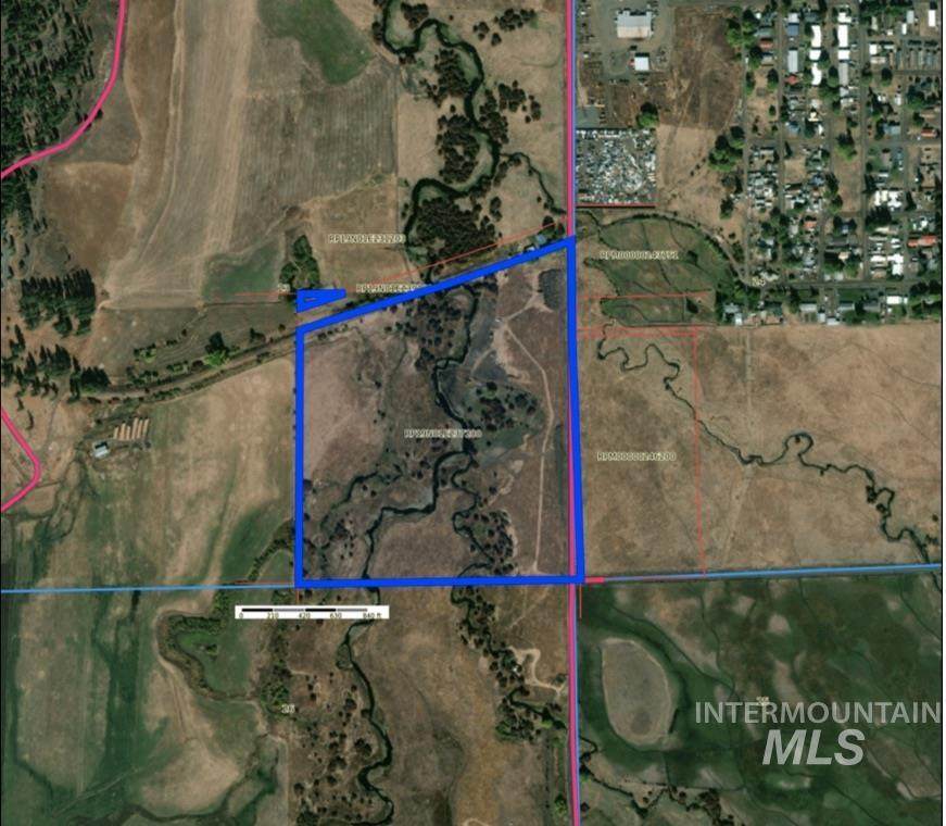 TBD Salmon River Meadows - Photo 1